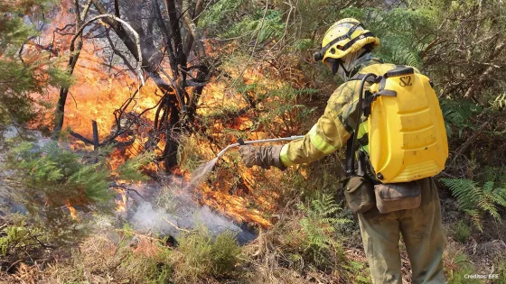 Incendios España