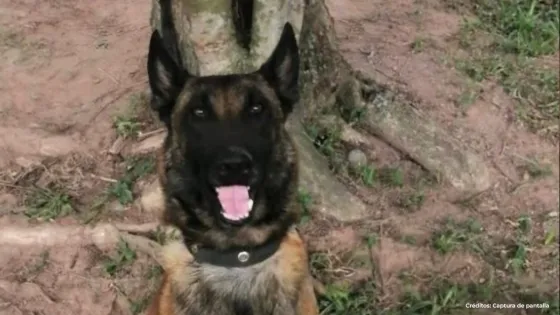 Captura de pantalla