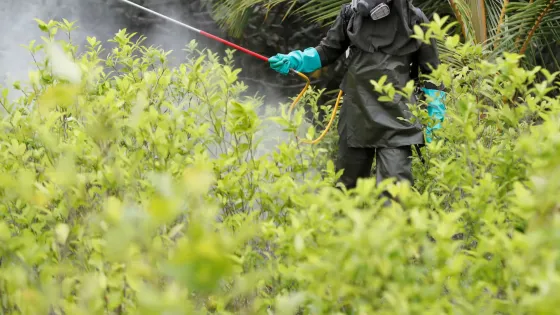 Lucha - antidrogas - Colombia