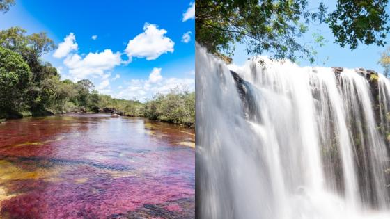 Caño Cristales, en La Macarena.