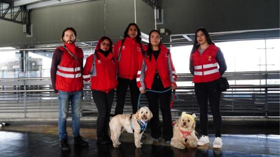 TransMilenio e IDPYBA refuerzan la atención frente a abandono animal.