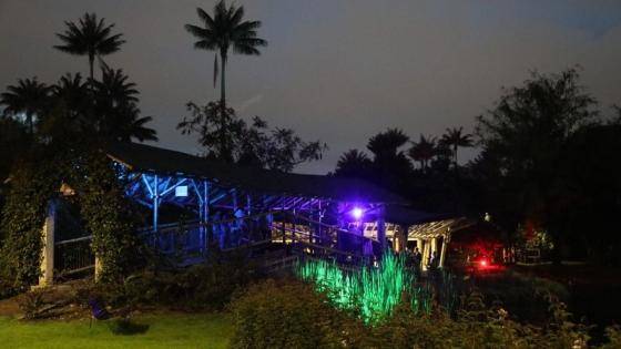 Viva Magia Natura en el Jardín Botánico de Bogotá: recorridos nocturnos, cine, talleres y siete estaciones iluminadas del 7 al 23 de diciembre.