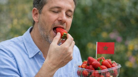 Fake news alimentación