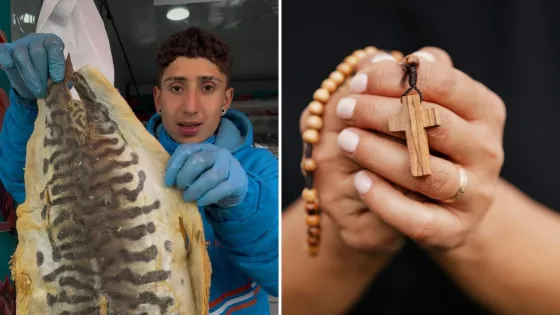 Comerciante de pescado y artículo religioso