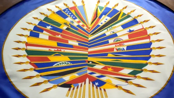 ¿Qué dijo la OEA sobre las elecciones legislativas en Colombia?