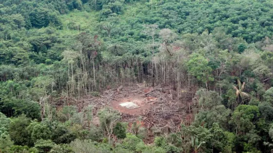 La vez que Colombia bombardeó Ecuador y desató una crisis regional