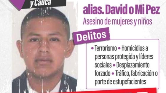 Alias 'David' o 'Mi pez'.