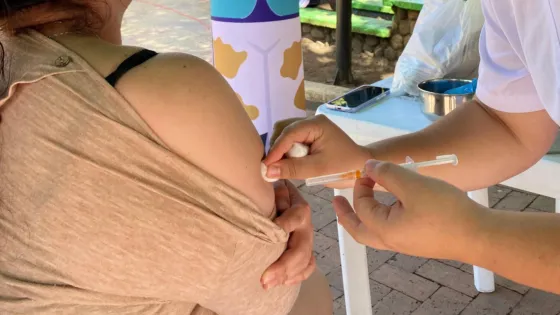 Fiebre amarilla: Colombia llega a Semana Santa con 182 casos y 81 muertes