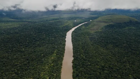 Ministerio de Ambiente y Desarrollo Sostenible