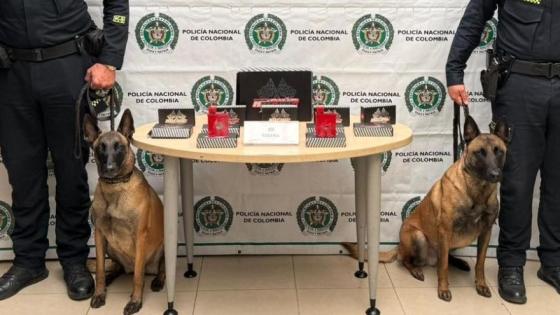 Incautan cocaína camuflada en repuestos de moto que iba rumbo a Australia