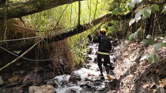 CAR activa trámite por árboles en riesgo por El Niño