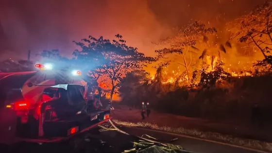 Incendios forestales en Tolima