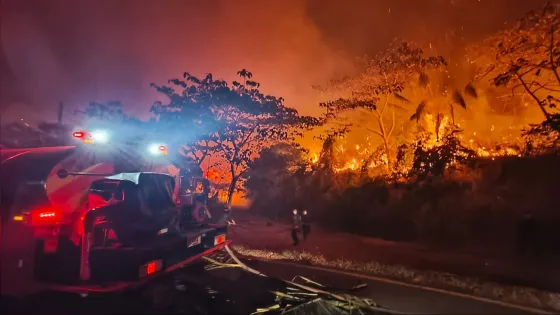 Incendios forestales en Tolima