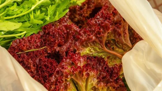 Iniciativas para reducir desperdicio de alimentos en Bogotá
