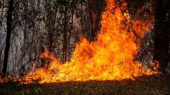 incendio en tolima podría ser provocado por las farc