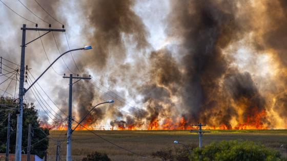 incendios colombia