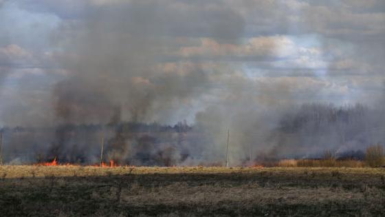 Incendio