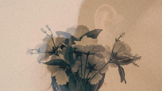 Persona con flores en una reflexión sobre el cansancio del alma