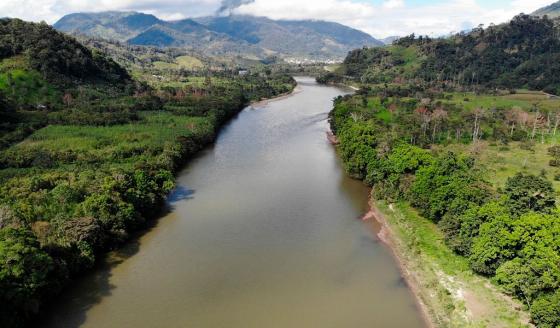 Países presentaron plan para proteger la Amazonía
