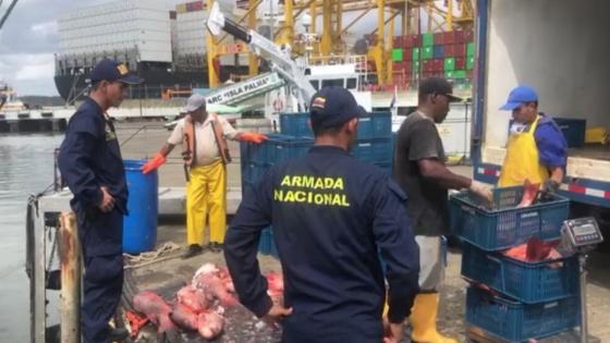 Pesca ilegal Pesca ilegal