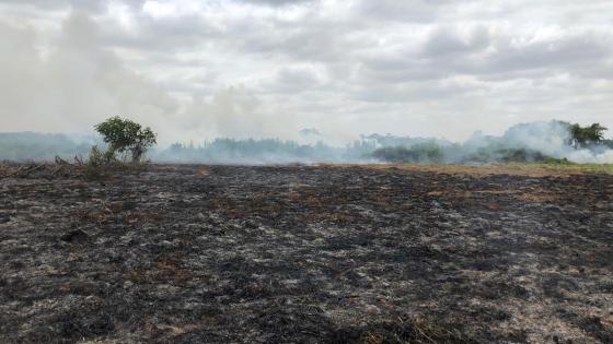 Incendios ciénaga de corralito