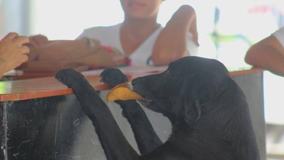 Negro comprando una galleta