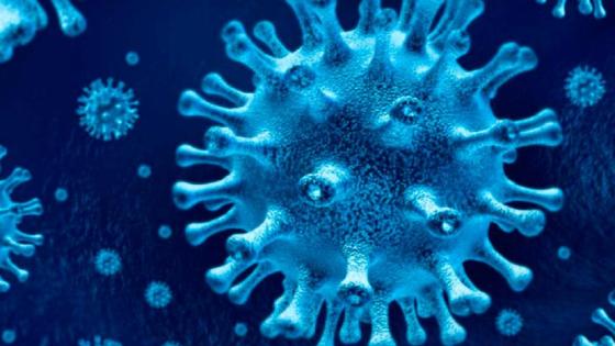 coronavirus coronavirus