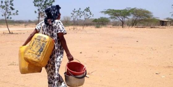 Alimentos en La Guajira