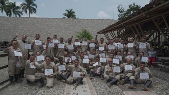 excombatientes Farc excombatientes Farc