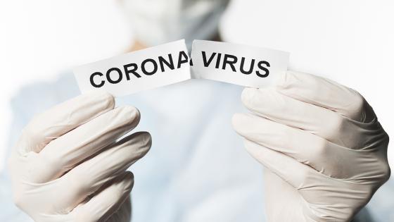 coronavirus coronavirus