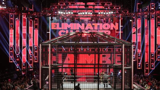 Elimination Chamber WWE Jamie Nelson Elimination Chamber