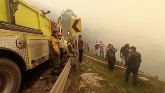 incendio de cobertura vegetal