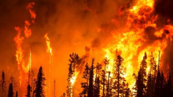 Incendios forestales