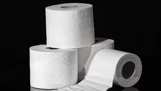papel higiénico papel higiénico