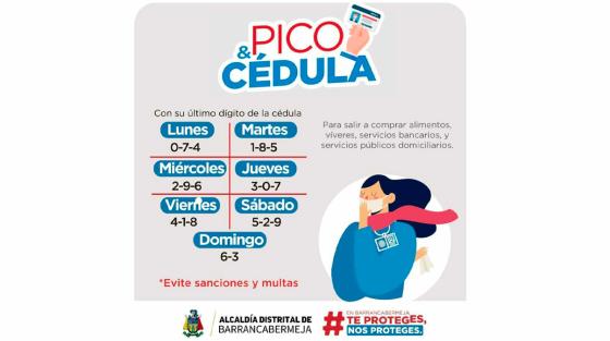 Pico y cédula