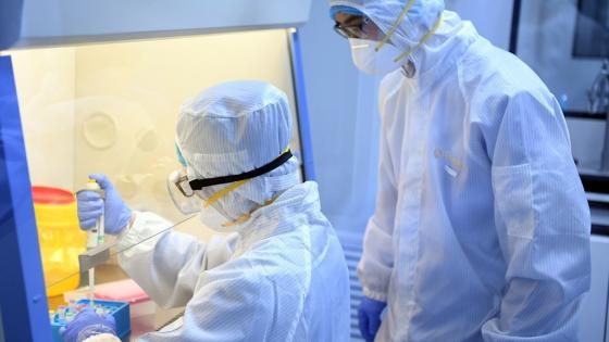 Tratamiento para el coronavirus con sangre de los recuperados Tratamiento para el coronavirus con sangre de los recuperados