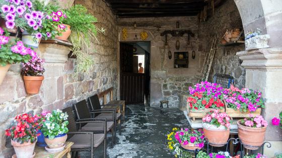 primavera primavera