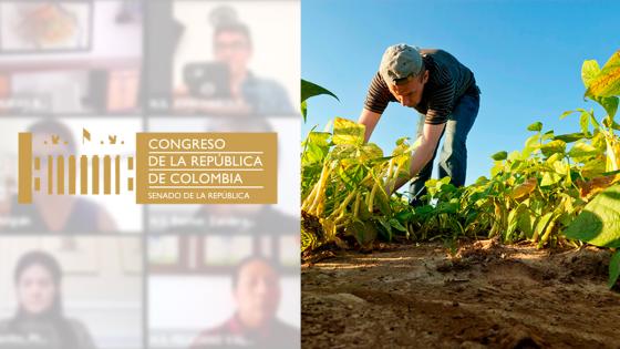 campesinos en Colombia campesinos en Colombia