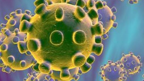 Coronavirus en Italia