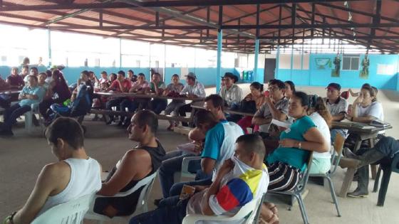 excombatientes proyectos excombatientes proyectos