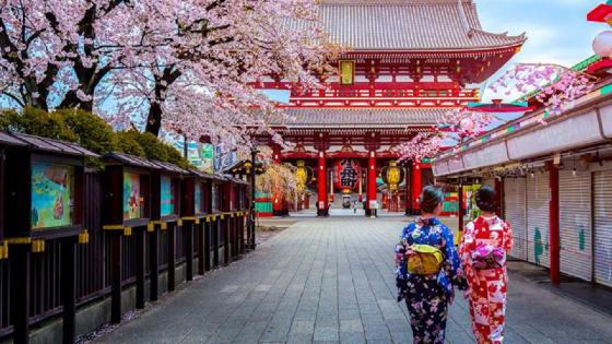 Japón medicamentos gratis