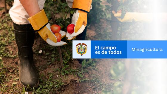 Beneficio MinAgricultura