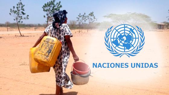 Crisis de hambre en el mundo Crisis de hambre en el mundo