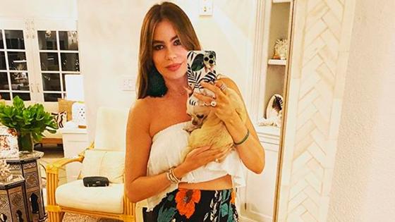 Sofía Vergara Sofía Vergara