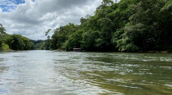 amazonía ecuatoriana