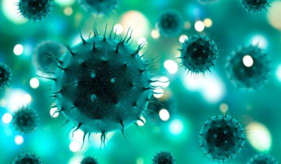 coronavirus coronavirus