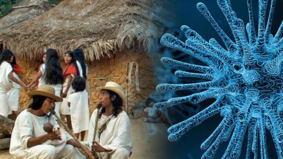 Indigenas coronavirus