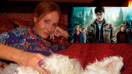 Harry Potter Harry Potter