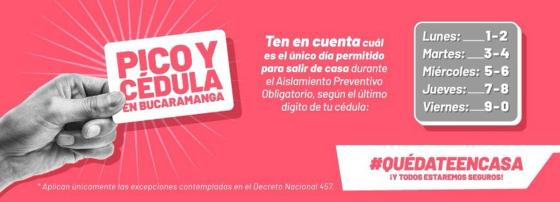 Pico y cédula Pico y cédula