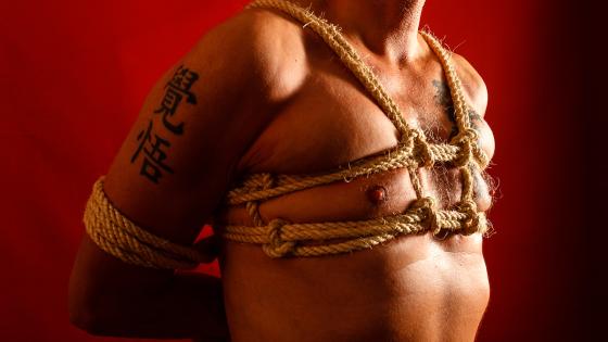 Shibari Shibari